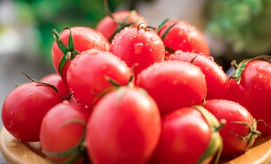好用的肥料生物有機肥菌肥，怎么使用效果好？
