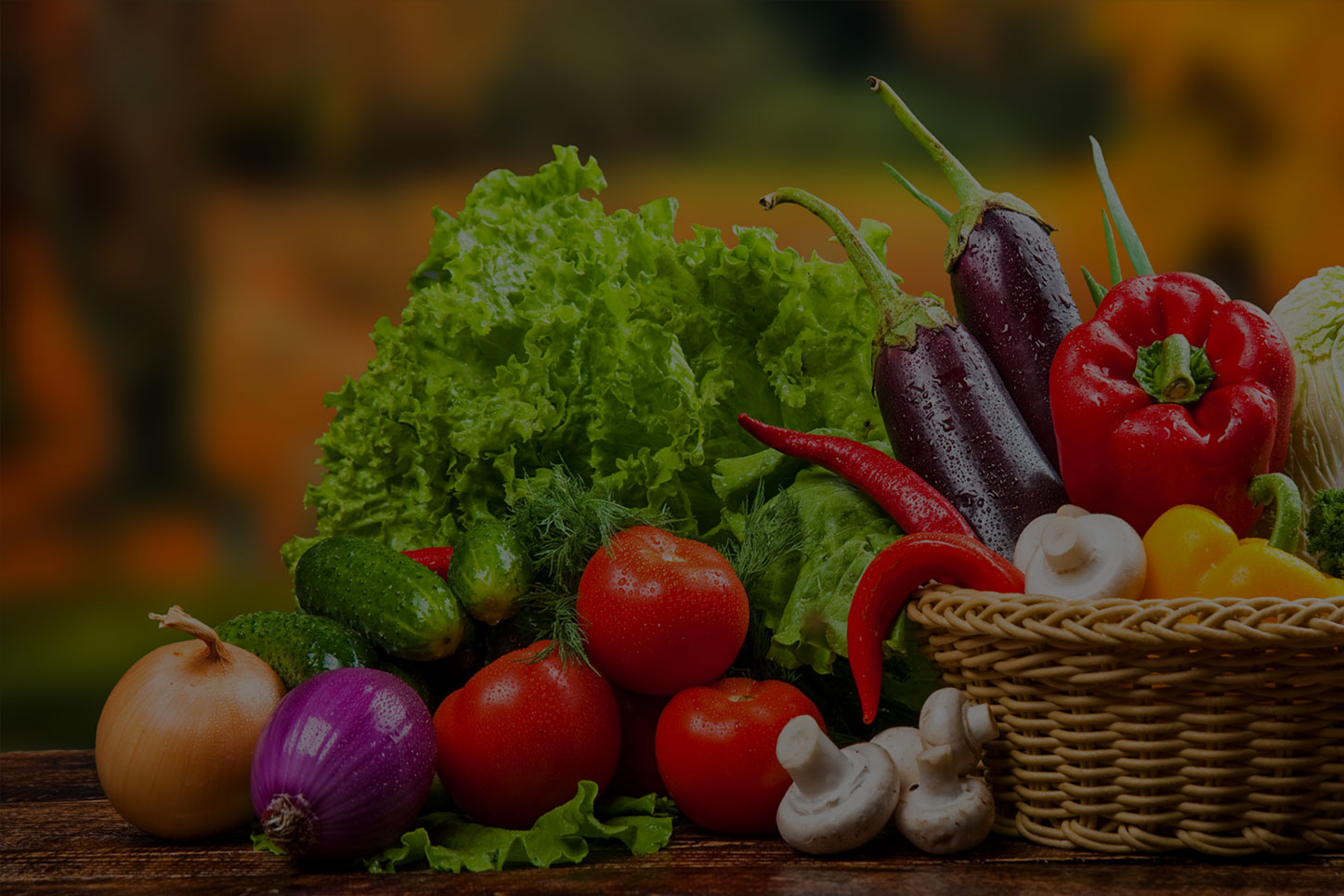 海藻、魚(yú)蛋白系列