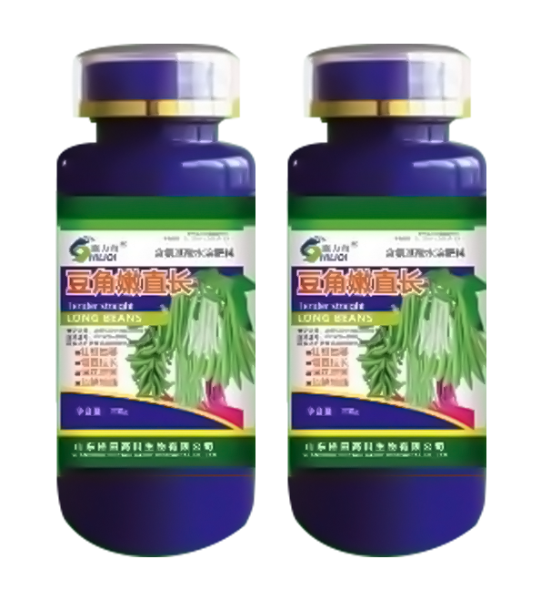 豆角嫩直長(zhǎng)
